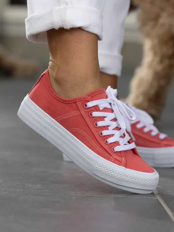 Jean Paul Sneakers>– Voie Tea Rose