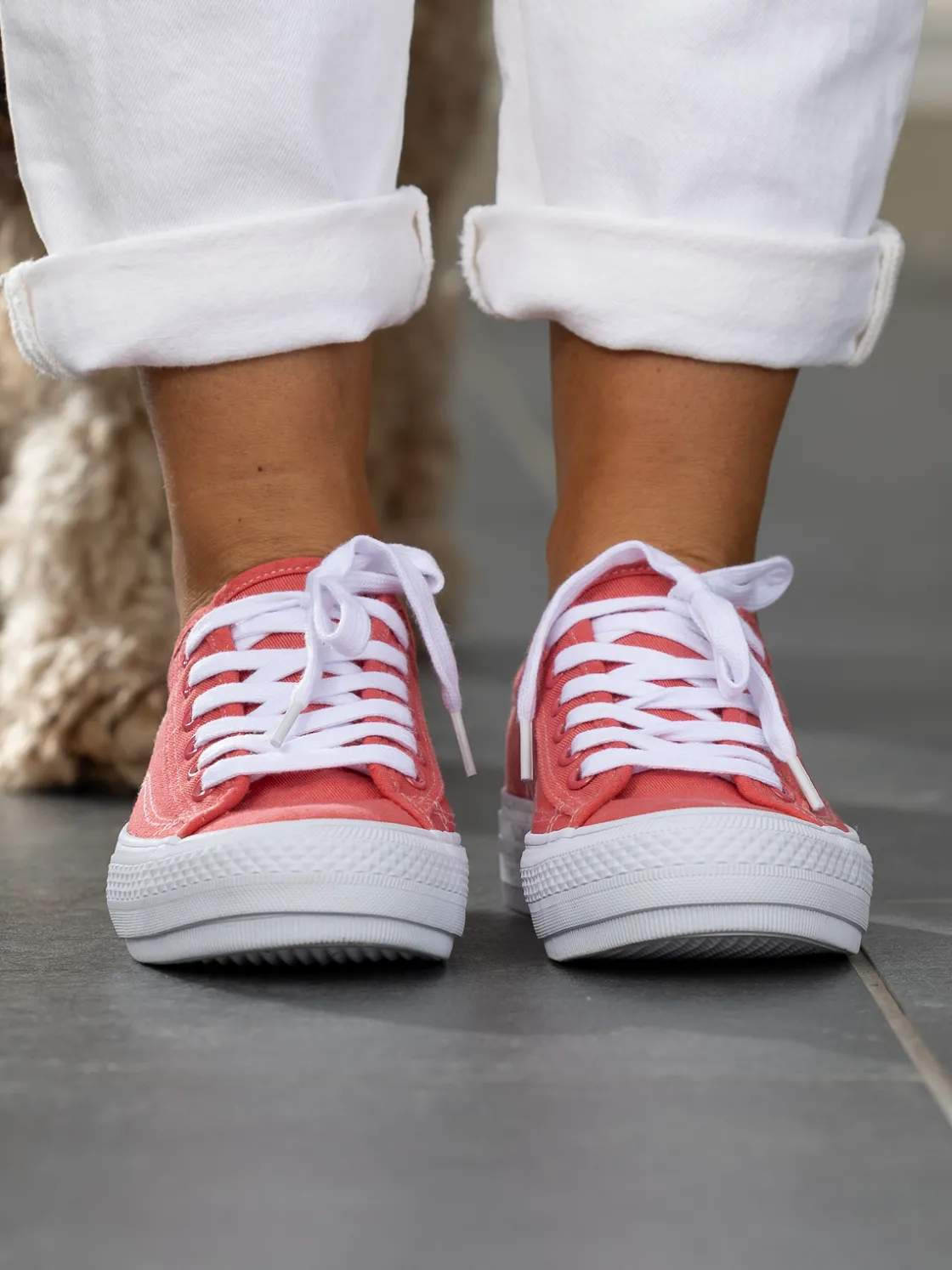 jean_paul__voie_tea_rose_6.webp Jean Paul Sneakers>– Voie Tea Rose