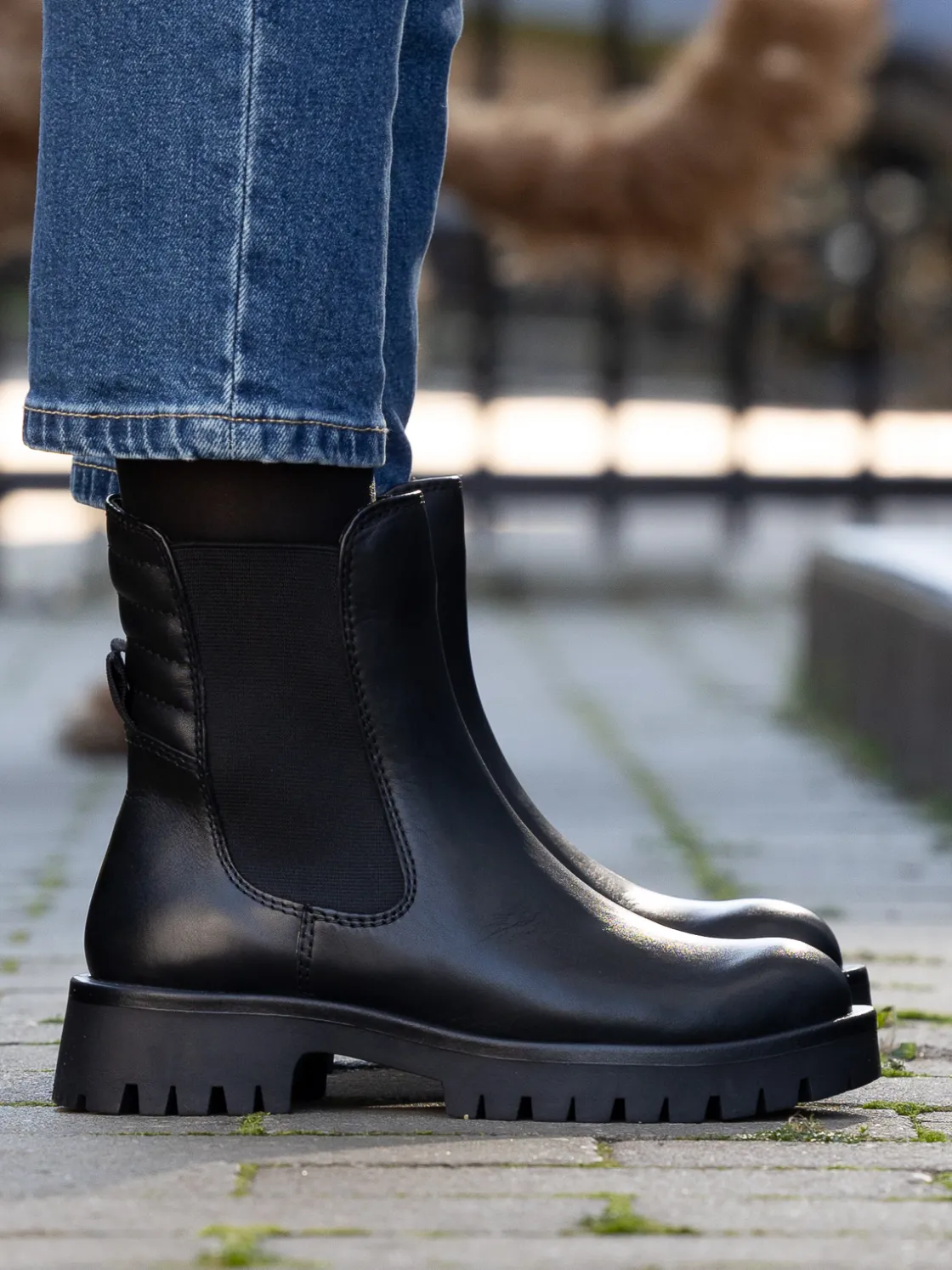 livo_leather_chelsea_blac_6.webp Roberto Rosso Skoletter Og Boots>Livo Leather Chelsea Black